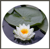 Live Yoga Life - Privacy Policy
