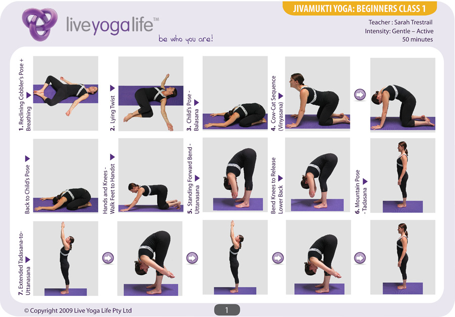 beginners yoga for  Yoga Hatha poses  Dijajal Dijajal  abs Basic Poses