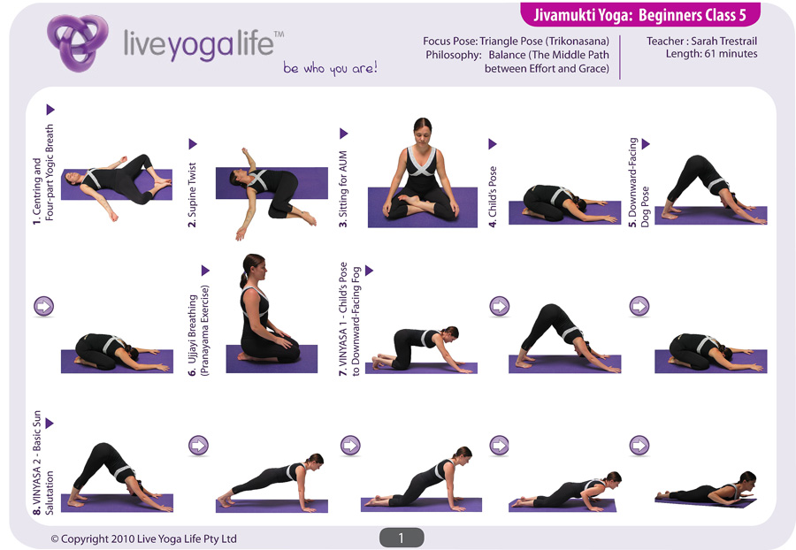chart names Yoga Life for Live Beginners poses  5  Yoga  for Hatha Class yoga