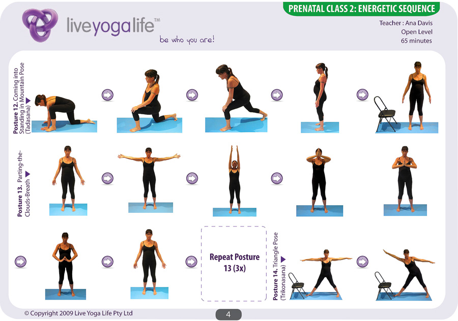 level Program Life  Yoga  Class yoga Yoga 2 2 Live  Prenatal poses