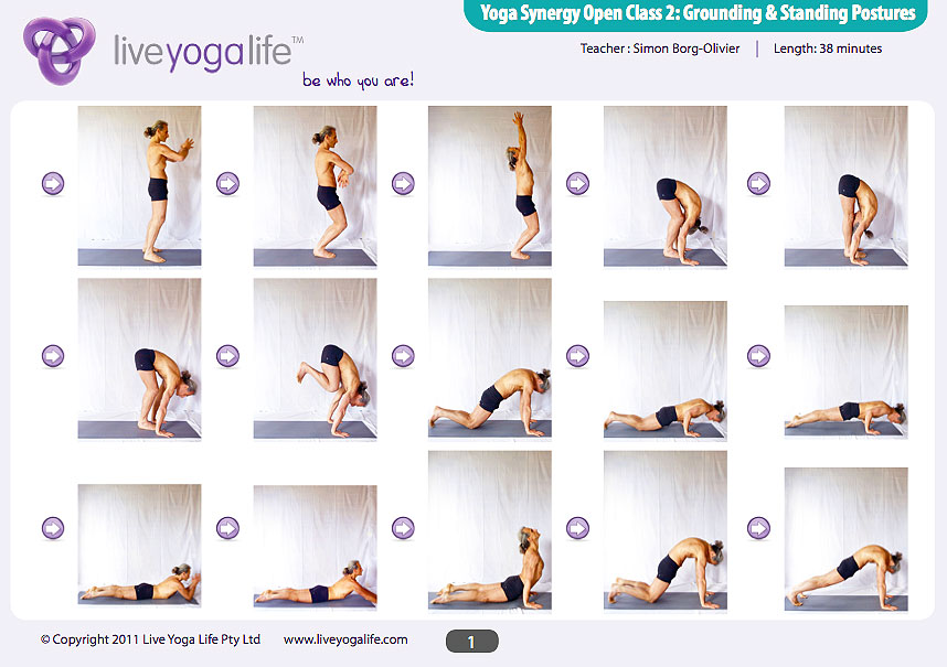 yoga 2:  Live for Open  Yoga beginners & Standing Postures  pdf Grounding  Class Yoga poses Synergy