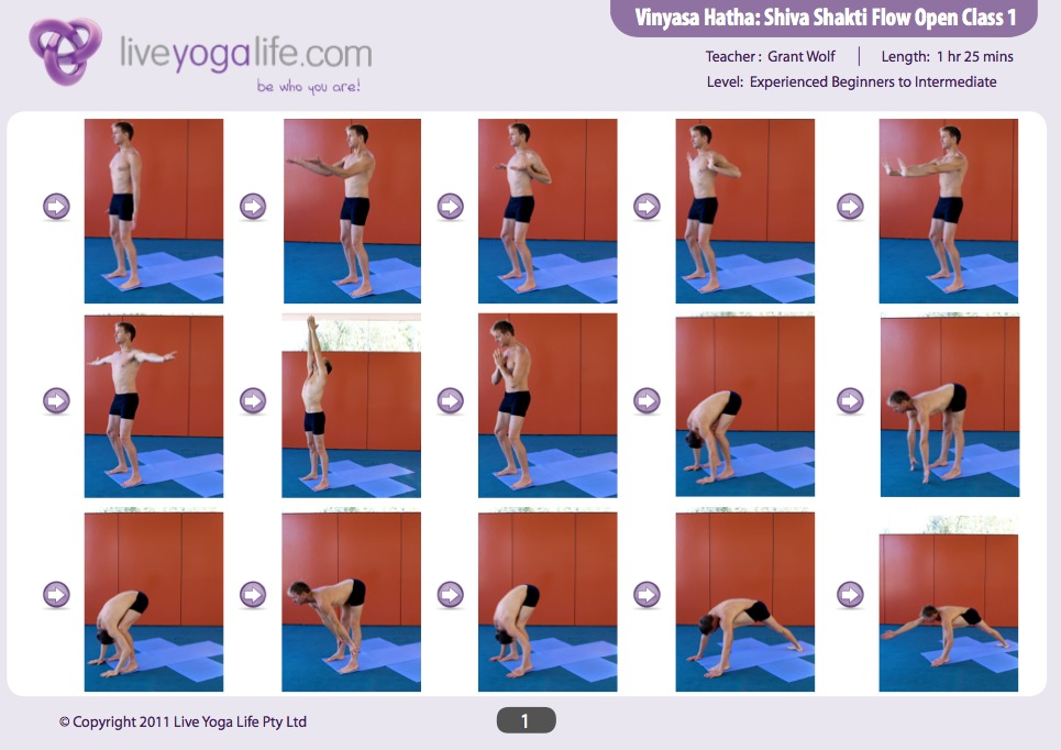 1  Yoga  Hatha Vinyasa poses  yoga Yoga Shakti Live Life Routine routine Shiva