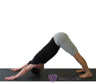 Yoga Pose Adho Mukha Svanasana