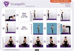 20-Minute Yoga Complete Set (Classes 1 to 7)