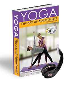 The Art of Adjustment (eBook + Audios)