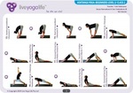 Ashtanga Yoga Beginners Class 2