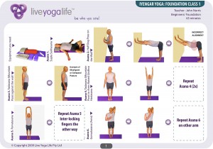 Iyengar Yoga Foundation Complete Set (Classes 1 to 7)