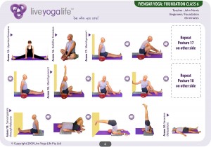Iyengar Yoga Foundation Class 6
