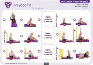 Iyengar Yoga Foundation Class 7