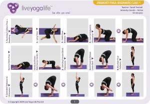 Hatha Yoga for Beginners Class 1