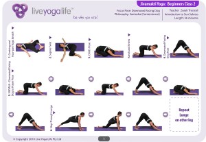 Hatha Yoga for Beginners Class 2