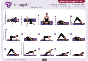 Hatha Yoga for Beginners Class 3