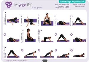 Hatha Yoga for Beginners Class 4