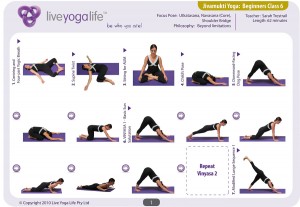 Hatha Yoga for Beginners Class 6