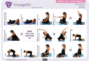 Prenatal Yoga Complete Set (Classes 1 to 7)