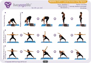 Prenatal Yoga Program Class 3