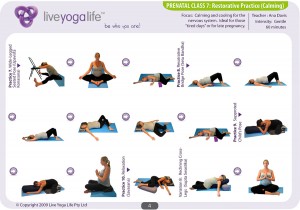 Prenatal Yoga Program Class 7