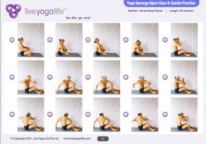 Yoga Synergy Open Class 4: Gentle Practice