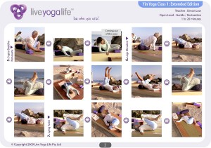 Yin Yoga Open Level Class 1