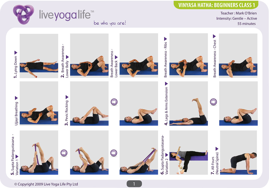 Vinyasa Hatha Beginners Class 1 Live Yoga Life