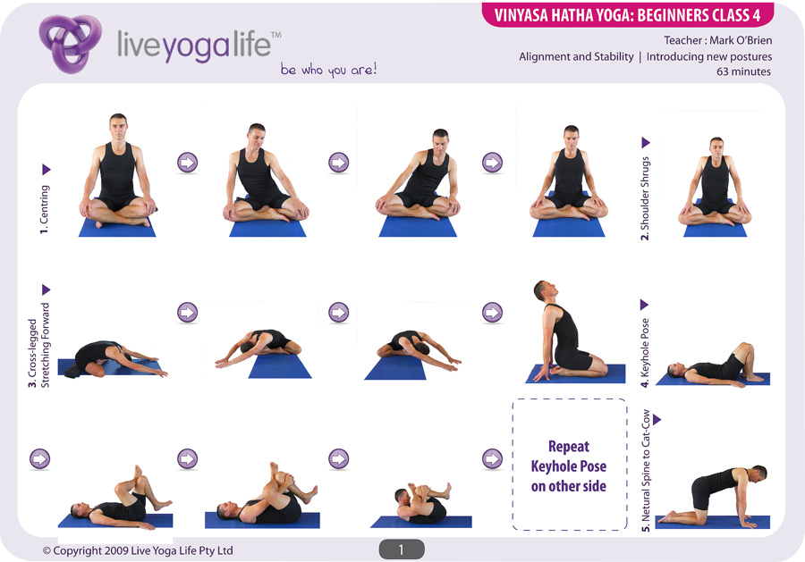 Vinyasa Hatha Beginners Class 4 | Live Yoga Life