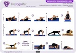 Vinyasa Hatha Beginners Complete Set (Classes 1 to 6)